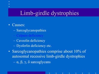 Limb-girdle dystrophies
• Causes:
– Sarcoglycanopathies
– Calpain deficiency
– Caveolin deficiency
– Dysferlin deficiency etc.
• Sarcoglycanopathies comprise about 10% of
autosomal recessive limb-girdle dystrophies
– α, β, γ, δ sarcoglycans
 