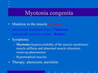 Myotonia congenita
• Mutation in the muscle Cl- gene
• autosomal dominant form: Thomsen
autosomal recessive form: Becker
• Symptoms:
– Myotonia (hyperexcitability of the muscle membrane):
muscle stiffness and abnormal muscle relaxation,
warm-up phenomenon
– Hypertrophied muscles
• Therapy: phenytoin, mexiletin
 
