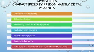 MYOPATHIES
CHARACTERIZED BY PREDOMINANTLY DISTAL
WEAKNESS
Centronuclear myopathy
Debrancher deficiency
Hereditary inclusion body myopathy
Inclusion body myositis
Myofibrillar myopathy
Myotonic dystrophy
Distal myopathies (Welander, Markes bery/Udd,Nonaka,Miyoshi,Liang)
 