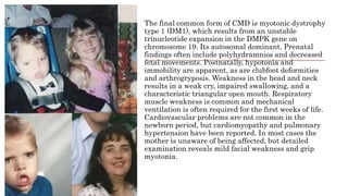 The final common form of CMD is myotonic dystrophy
type 1 (DM1), which results from an unstable
trinucleotide expansion in the DMPK gene on
chromosome 19. Its autosomal dominant. Prenatal
findings often include polyhydramnios and decreased
fetal movements. Postnatally, hypotonia and
immobility are apparent, as are clubfoot deformities
and arthrogryposis. Weakness in the head and neck
results in a weak cry, impaired swallowing, and a
characteristic triangular open mouth. Respiratory
muscle weakness is common and mechanical
ventilation is often required for the first weeks of life.
Cardiovascular problems are not common in the
newborn period, but cardiomyopathy and pulmonary
hypertension have been reported. In most cases the
mother is unaware of being affected, but detailed
examination reveals mild facial weakness and grip
myotonia.
 