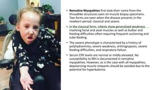 • Nemaline Myopathies first took their name from the
threadlike structures seen on muscle biopsy specimens.
Two forms are seen when the disease presents in the
newborn period: classical and severe.
• In the classical form, infants show generalized weakness
involving facial and axial muscles as well as bulbar and
feeding difficulties often requiring frequent suctioning and
tube feeding.
• The severe phenotype is characterized by a history of
polyhydramnios, severe weakness, arthrogryposis, severe
feeding difficulties, and respiratory failure.
• Serum CPK levels are normal or mildly elevated. No
susceptibility to MH is documented in nemaline
myopathies. However, as is the case with all myopathies,
depolarizing muscle relaxants should be avoided due to the
potential for hyperkalemia
 