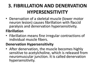 3. FIBRILLATION AND DENERVATION
HYPERSENSITIVITY
• Denervation of a skeletal muscle (lower motor
neuron lesion) causes fibrillation with flaccid
paralysis and denervation hypersensitivity.
Fibrillation
• Fibrillation means fine irregular contractions of
individual muscle fibers.
Denervation Hypersensitivity
• After denervation, the muscle becomes highly
sensitive to acetylcholine, which is released from
neuromuscular junction. It is called denervation
hypersensitivity.
 