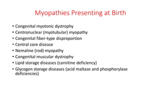 Myopathies Presenting at Birth
• Congenital myotonic dystrophy
• Centronuclear (myotubular) myopathy
• Congenital fiber-type disproportion
• Central core disease
• Nemaline (rod) myopathy
• Congenital muscular dystrophy
• Lipid storage diseases (carnitine deficiency)
• Glycogen storage diseases (acid maltase and phosphorylase
deficiencies)
 