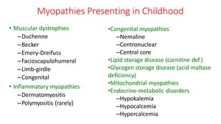 Myopathies Presenting in Childhood
• Muscular dystrophies
–Duchenne
–Becker
–Emery-Dreifuss
–Facioscapulohumeral
–Limb-girdle
–Congenital
• Inflammatory myopathies
–Dermatomyositis
–Polymyositis (rarely)
•Congenital myopathies
–Nemaline
–Centronuclear
–Central core
•Lipid storage disease (carnitine def.)
•Glycogen storage disease (acid maltase
deficiency)
•Mitochondrial myopathies
•Endocrine-metabolic disorders
–Hypokalemia
–Hypocalcemia
–Hypercalcemia
 