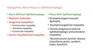 Myopathies With Ptosis or Ophthalmoplegia
• Ptosis Without Ophthalmoplegia
• Myotonic dystrophy
• Congenital myopathies
• Centronuclear myopathy
• Nemaline myopathy
• Central core myopathy
• Desmin (myofibrillary) myopathy
• Ptosis With Ophthalmoplegia
• Oculopharyngeal muscular
dystrophy
• Oculopharyngodistal myopathy
• Chronic progressive external
ophthalmoplegia (mitochondrial
myopathy)
• Neuromuscular junction disease
(myasthenia gravis, Lambert-
Eaton, botulism)
 