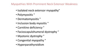 Myopathies With Prominent Neck Extensor Weakness
• Isolated neck extensor myopathy"
• Polymyositis "
• Dermatomyositis "
• Inclusion body myositis "
• Carnitine deficiency "
• Facioscapulohumeral dystrophy "
• Myotonic dystrophy "
• Congenital myopathy "
• Hyperparathyroidism
 