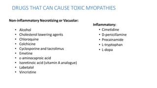 DRUGS THAT CAN CAUSE TOXIC MYOPATHIES
Inflammatory:
• Cimetidine
• D-penicillamine
• Procainamide
• L-tryptophan
• L-dopa
Non-inflammatory Necrotizing or Vacuolar:
• Alcohol
• Cholesterol lowering agents
• Chloroquine
• Colchicine
• Cyclosporine and tacrolimus
• Emetine
• ε-aminocaproic acid
• Isoretinoic acid (vitamin A analogue)
• Labetalol
• Vincristine
 