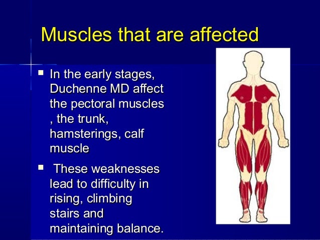 Myopathy for medical students
