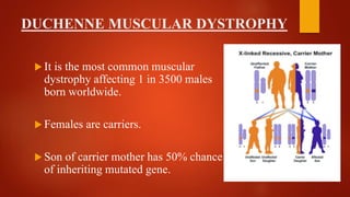 DUCHENNE MUSCULAR DYSTROPHY
 It is the most common muscular
dystrophy affecting 1 in 3500 males
born worldwide.
 Females are carriers.
 Son of carrier mother has 50% chance
of inheriting mutated gene.
 