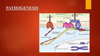 PATHOGENESIS
 