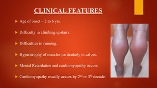 CLINICAL FEATURES
 Age of onset – 2 to 6 yrs.
 Difficulty in climbing upstairs .
 Difficulties in running.
 Hypertrrophy of muscles particularly in calves.
 Mental Retardation and cardiomyopathy occurs.
 Cardiomyopathy usually occurs by 2nd or 3rd decade.
 