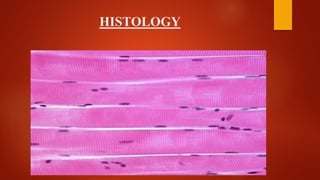 HISTOLOGY
 