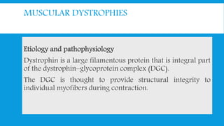MUSCULAR DYSTROPHIES
Etiology and pathophysiology
Dystrophin is a large filamentous protein that is integral part
of the dystrophin–glycoprotein complex (DGC).
The DGC is thought to provide structural integrity to
individual myofibers during contraction.
 