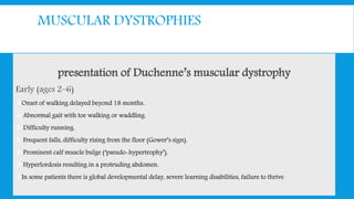 MUSCULAR DYSTROPHIES
presentation of Duchenne’s muscular dystrophy
Early (ages 2–6)
Onset of walking delayed beyond 18 months.
 Abnormal gait with toe walking or waddling.
 Difficulty running.
 Frequent falls, difficulty rising from the floor (Gower’s sign).
 Prominent calf muscle bulge (‘pseudo-hypertrophy’).
 Hyperlordosis resulting in a protruding abdomen.
In some patients there is global developmental delay, severe learning disabilities, failure to thrive
 