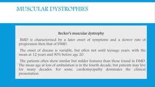 MUSCULAR DYSTROPHIES
Becker’s muscular dystrophy
BMD is characterized by a later onset of symptoms and a slower rate of
progression then that of DMD.
The onset of disease is variable, but often not until teenage years, with the
mean at 12 years and 90% before age 20.
The patients often show similar but milder features than those found in DMD.
The mean age at loss of ambulation is in the fourth decade, but patients may live
for many decades. For some, cardiomyopathy dominates the clinical
presentation.
 