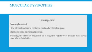 MUSCULAR DYSTROPHIES
management
Gene replacement:
• Use of viral vectors to replace a mutated dystrophin gene.
•stem cells may help muscle repair.
Blocking the effect of myostatin as a negative regulator of muscle mass could
have a beneficial effect.
 