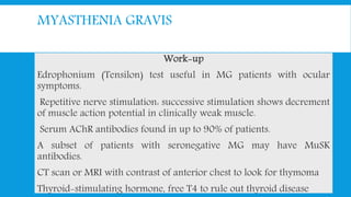 MYASTHENIA GRAVIS
Work-up
Edrophonium (Tensilon) test useful in MG patients with ocular
symptoms.
Repetitive nerve stimulation: successive stimulation shows decrement
of muscle action potential in clinically weak muscle.
Serum AChR antibodies found in up to 90% of patients.
A subset of patients with seronegative MG may have MuSK
antibodies.
CT scan or MRI with contrast of anterior chest to look for thymoma
Thyroid-stimulating hormone, free T4 to rule out thyroid disease
 