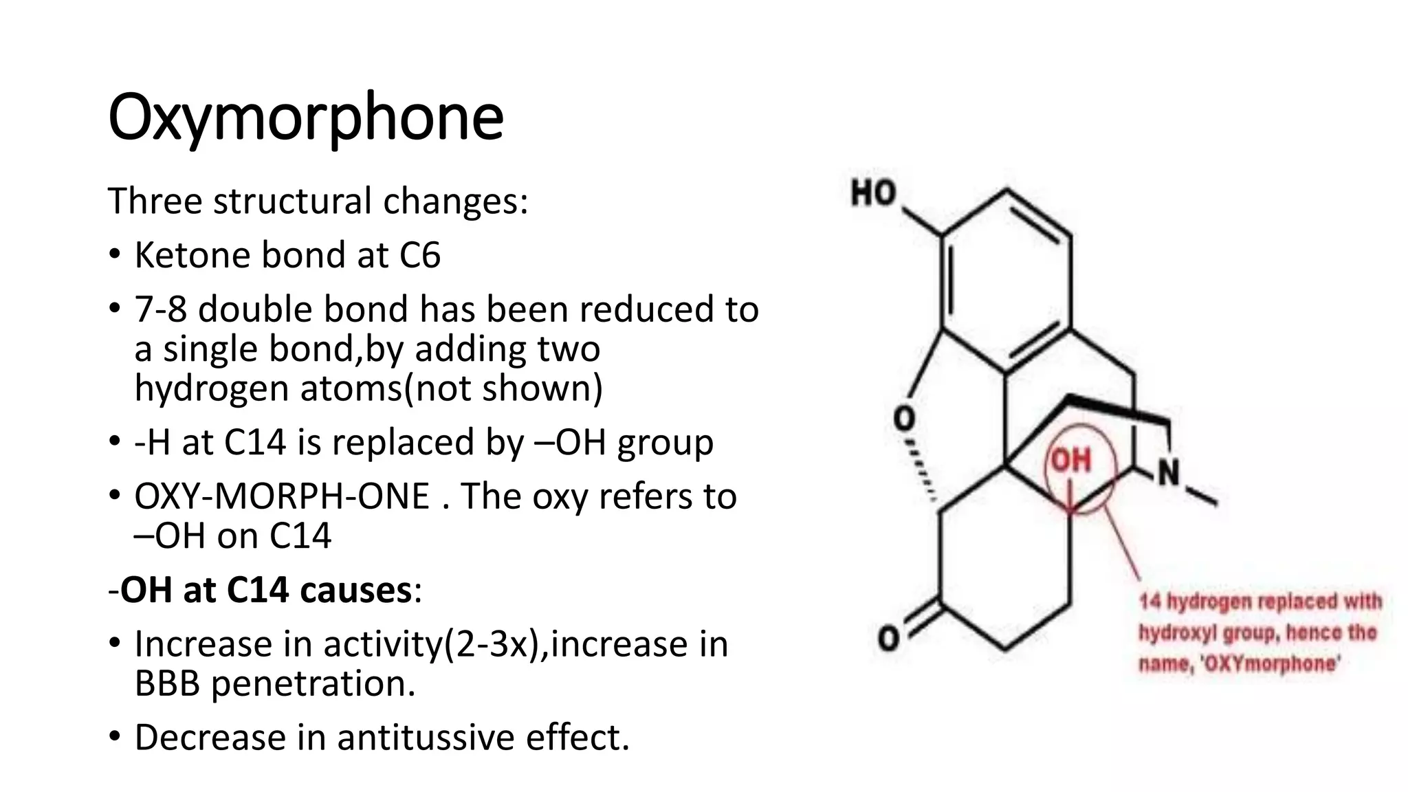 Oxymorphone
Three structural changes:
• Ketone bond at C6
• 7-8 double bond has been reduced to
a single bond,by adding two
hydrogen atoms(not shown)
• -H at C14 is replaced by –OH group
• OXY-MORPH-ONE . The oxy refers to
–OH on C14
-OH at C14 causes:
• Increase in activity(2-3x),increase in
BBB penetration.
• Decrease in antitussive effect.
 