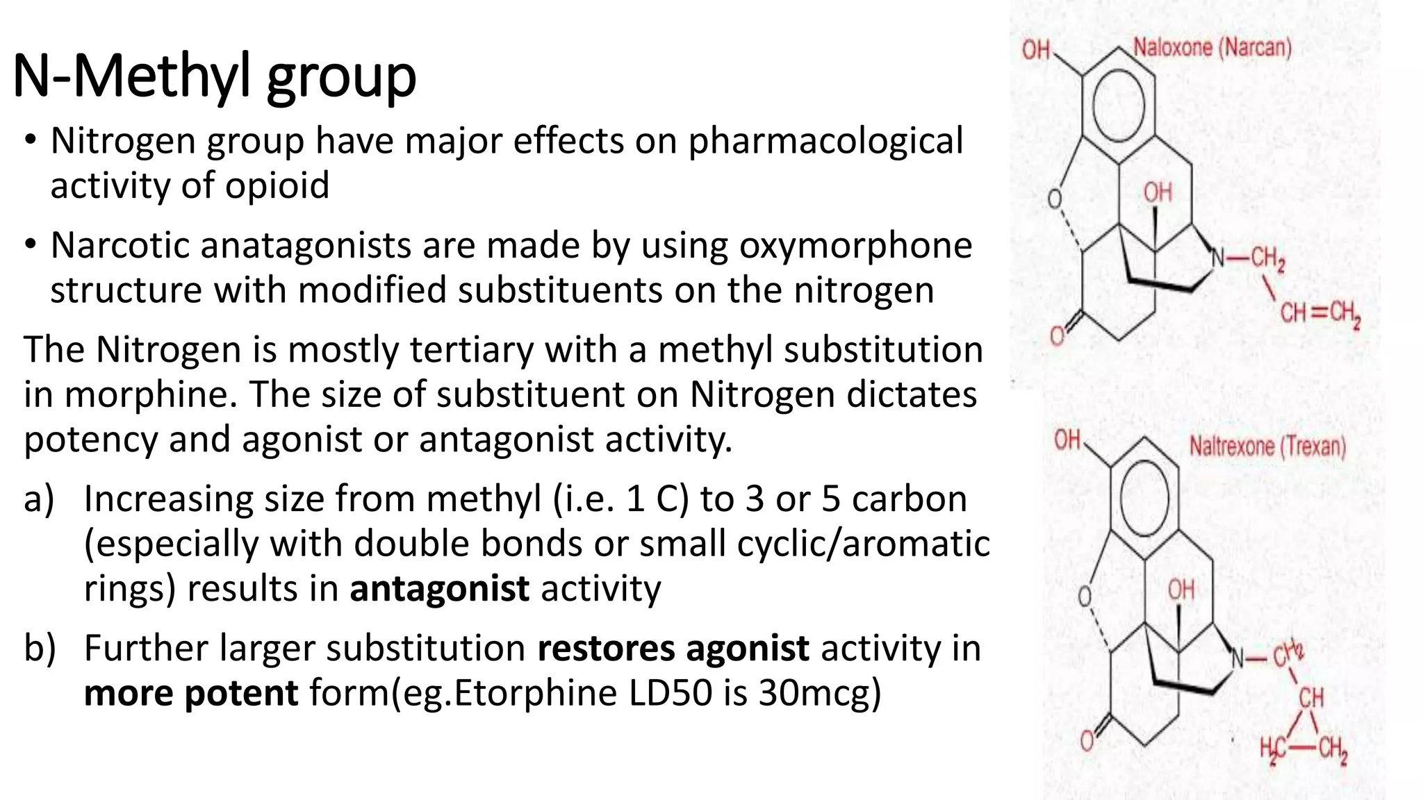 N-Methyl group
• Nitrogen group have major effects on pharmacological
activity of opioid
• Narcotic anatagonists are made by using oxymorphone
structure with modified substituents on the nitrogen
The Nitrogen is mostly tertiary with a methyl substitution
in morphine. The size of substituent on Nitrogen dictates
potency and agonist or antagonist activity.
a) Increasing size from methyl (i.e. 1 C) to 3 or 5 carbon
(especially with double bonds or small cyclic/aromatic
rings) results in antagonist activity
b) Further larger substitution restores agonist activity in
more potent form(eg.Etorphine LD50 is 30mcg)
 