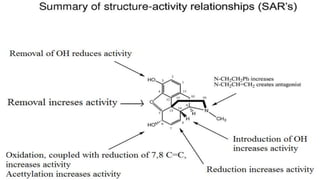 Structure activity relationship of Opiods | PPTX