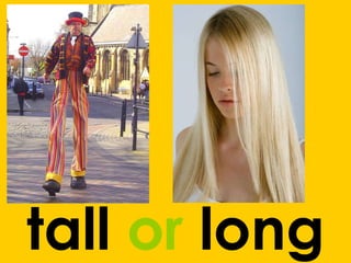 tall  or  long 