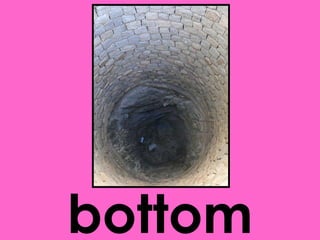bottom 