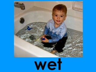 wet 