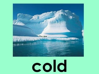 cold 