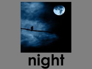 night 