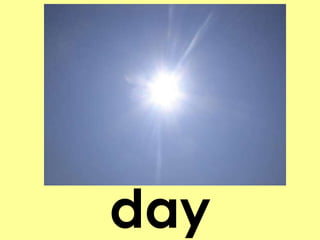 day 