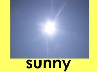sunny 