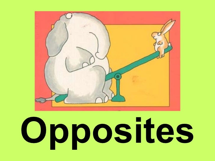 Image result for Opposites