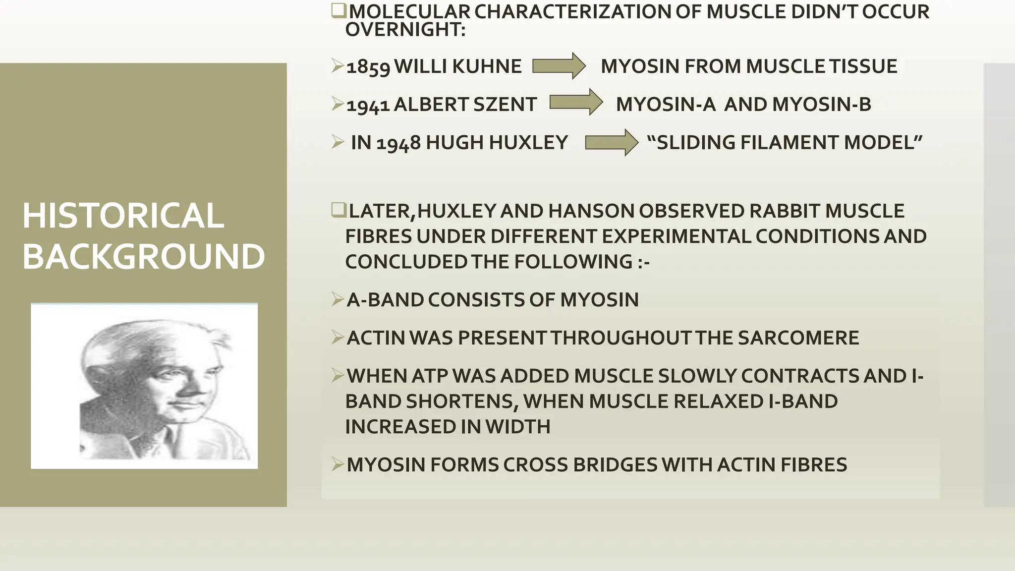 HISTORICAL
BACKGROUND
MOLECULARCHARACTERIZATIONOF MUSCLE DIDN’TOCCUR
OVERNIGHT:
1859WILLI KUHNE MYOSIN FROM MUSCLETISSUE
1941 ALBERT SZENT MYOSIN-A AND MYOSIN-B
 IN 1948 HUGH HUXLEY “SLIDING FILAMENT MODEL”
LATER,HUXLEYAND HANSON OBSERVED RABBIT MUSCLE
FIBRES UNDER DIFFERENT EXPERIMENTALCONDITIONSAND
CONCLUDEDTHE FOLLOWING :-
A-BANDCONSISTS OF MYOSIN
ACTINWAS PRESENTTHROUGHOUTTHE SARCOMERE
WHEN ATPWAS ADDED MUSCLE SLOWLY CONTRACTSAND I-
BAND SHORTENS,WHEN MUSCLE RELAXED I-BAND
INCREASED IN WIDTH
MYOSIN FORMS CROSS BRIDGESWITH ACTIN FIBRES
 