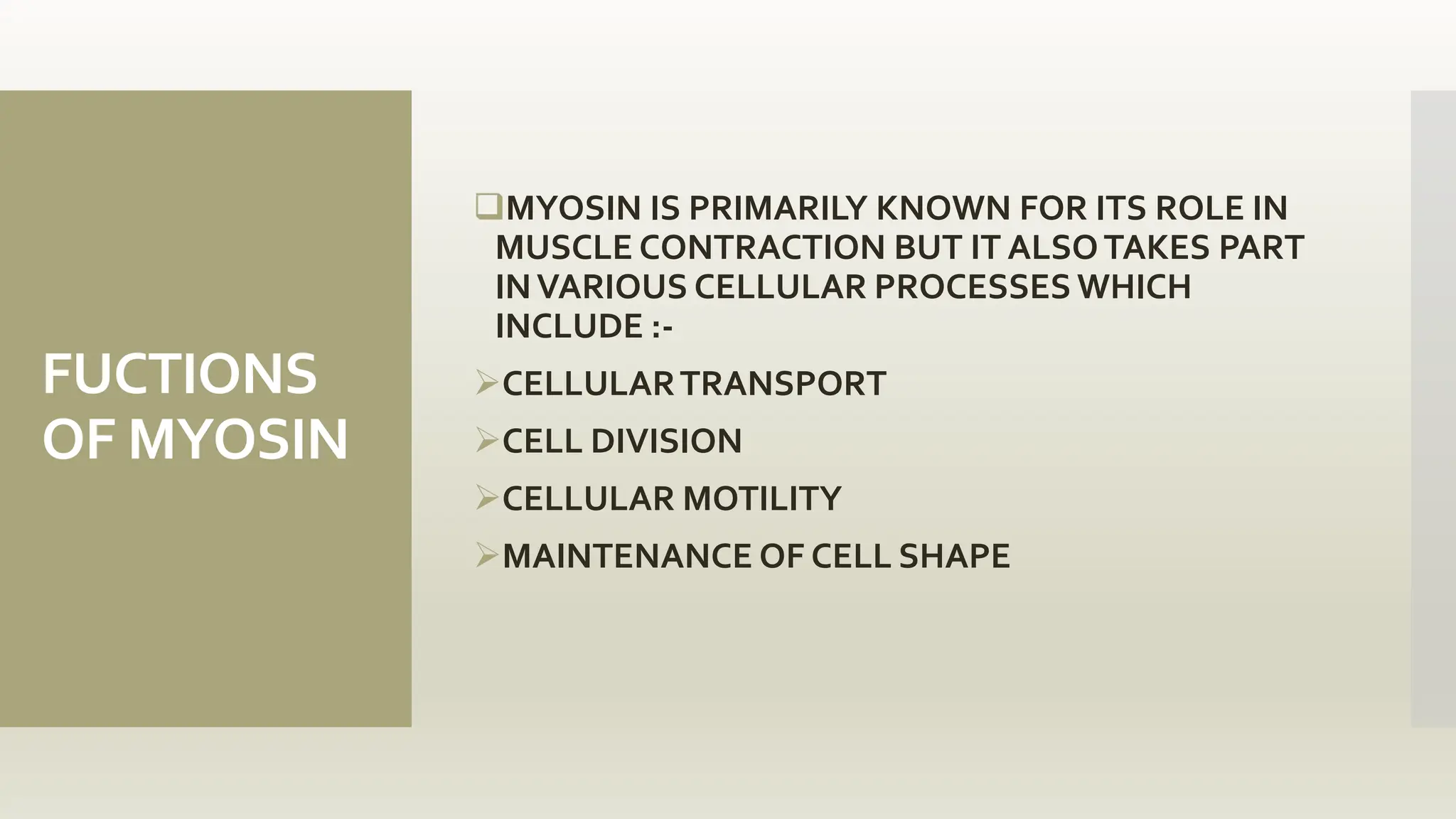 FUCTIONS
OF MYOSIN
MYOSIN IS PRIMARILY KNOWN FOR ITS ROLE IN
MUSCLE CONTRACTION BUT IT ALSOTAKES PART
INVARIOUS CELLULAR PROCESSES WHICH
INCLUDE :-
CELLULARTRANSPORT
CELL DIVISION
CELLULAR MOTILITY
MAINTENANCE OF CELL SHAPE
 