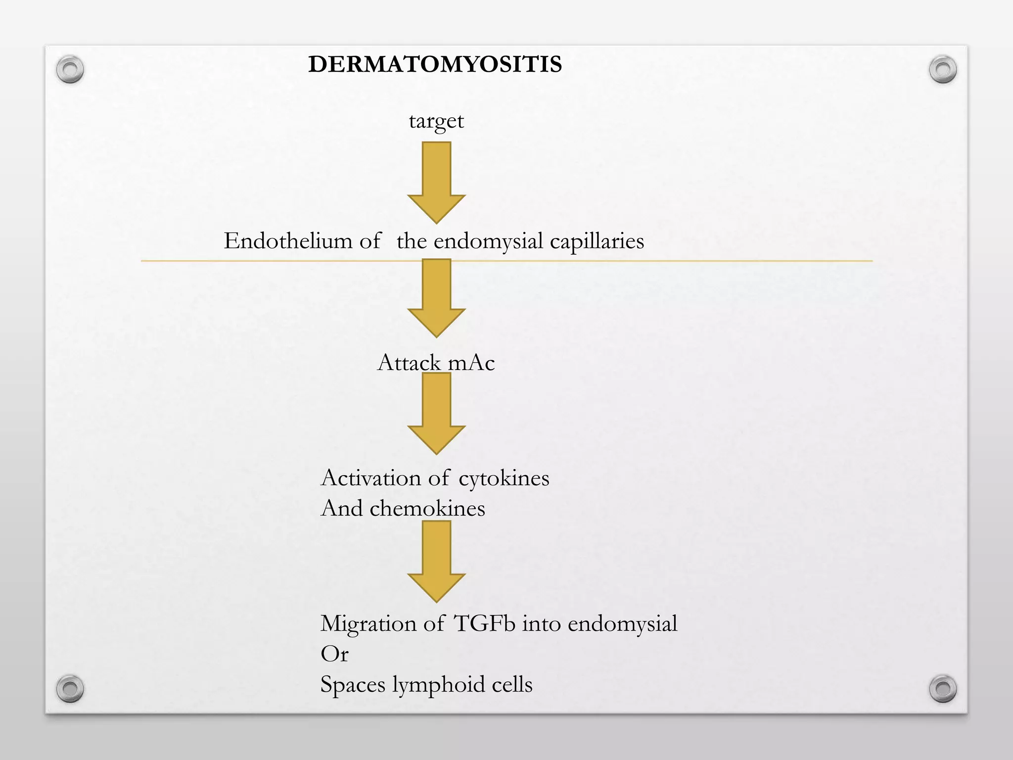 Endothelium of the endomysial capillaries
DERMATOMYOSITIS
target
Attack mAc
Activation of cytokines
And chemokines
Migration of TGFb into endomysial
Or
Spaces lymphoid cells
 