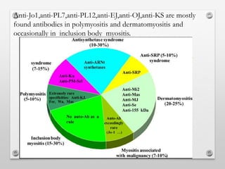 Anti-Jo1,anti-PL7,anti-PL12,anti-EJ,anti-OJ,anti-KS are mostly
found antibodies in polymyositis and dermatomyositis and
occasionally in inclusion body myositis.
 