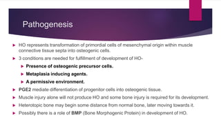 Pathogenesis
 HO represents transformation of primordial cells of mesenchymal origin within muscle
connective tissue septa into osteogenic cells.
 3 conditions are needed for fulfillment of development of HO-
 Presence of osteogenic precursor cells.
 Metaplasia inducing agents.
 A permissive environment.
 PGE2 mediate differentiation of progenitor cells into osteogenic tissue.
 Muscle injury alone will not produce HO and some bone injury is required for its development.
 Heterotopic bone may begin some distance from normal bone, later moving towards it.
 Possibly there is a role of BMP (Bone Morphogenic Protein) in development of HO.
 