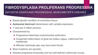 FIBRODYSPLASIA PROLIFERANS PROGRESSIVA
(MYOSITIS OSSIFICANS PROGRESSIVA, MUNCHMEYER’S DISEASE)
 Rarest genetic condition of connective tissue.
 Autosomal dominant transmission with variable expression.
 1 case per 2 million persons.
 Characterised by
 Progressive heterotopic endochondral ossification.
 Congenital malformation of great toe (hallus valgus, malformed first
metatarsal).
 Affected individuals also may have short thumb.
 Most mutations are sporadic.
 Disease progresses temporally and has well defined unfortunate course.
 