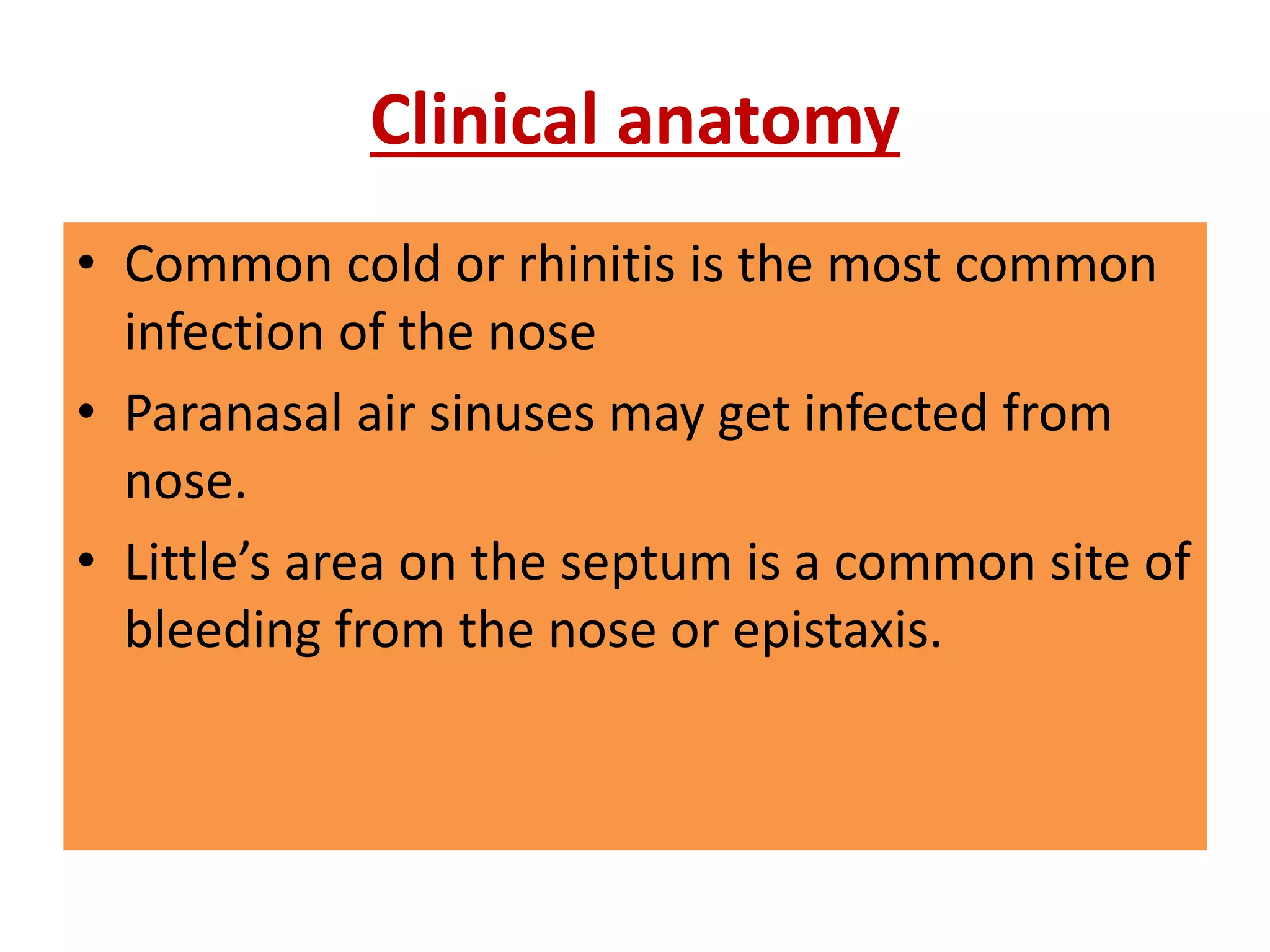 Osteology of facial skeleton | PPTX