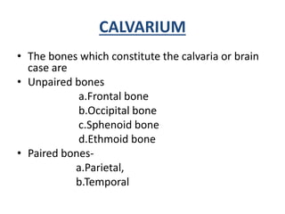 Osteology of facial skeleton | PPTX