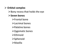 Osteology of facial skeleton | PPTX