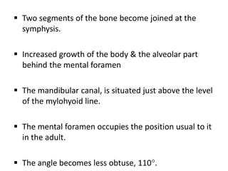 Osteology of facial skeleton