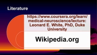 https://www.coursera.org/learn/
medical-neuroscience/lecture:
Leonard E. White, PhD, Duke
University
Wikipedia.org
Literature
 