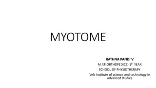 MYOTOME
RATHNA PANDI V
M.P.T(ORTHOPEDICS) 1ST YEAR
SCHOOL OF PHYSIOTHERAPY
Vels institute of science and technology in
advanced studies
 