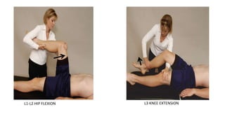 •
L1-L2 HIP FLEXION L3 KNEE EXTENSION
 