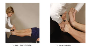 •
L4 ANKLE DORSI FLEXION S1 ANKLE EVERSION
 