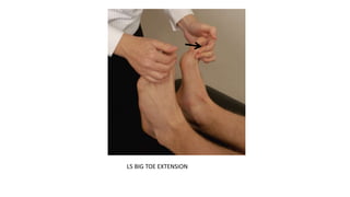 L5 BIG TOE EXTENSION
 