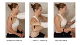 •
C4 SHOULDER ELEVATION C5 SHOULDER ABDUCTION C6 ELBOW FLEXION
 