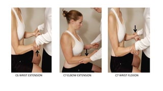 • D
C6 WRIST EXTENSION C7 ELBOW EXTENSION C7 WRIST FLEXION
 