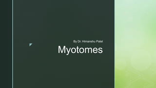 z
Myotomes
By Dr. Himanshu Patel
 